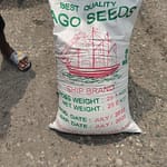 Sago seeds Ship Brand