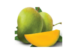 Langra Mango