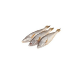 Fofa Fish
