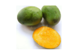Haribhanga Mango